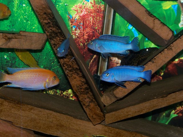 100_3920.JPG