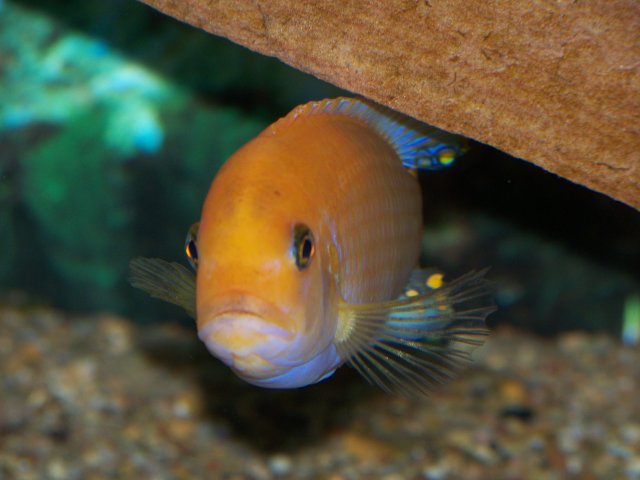 100_3941.JPG