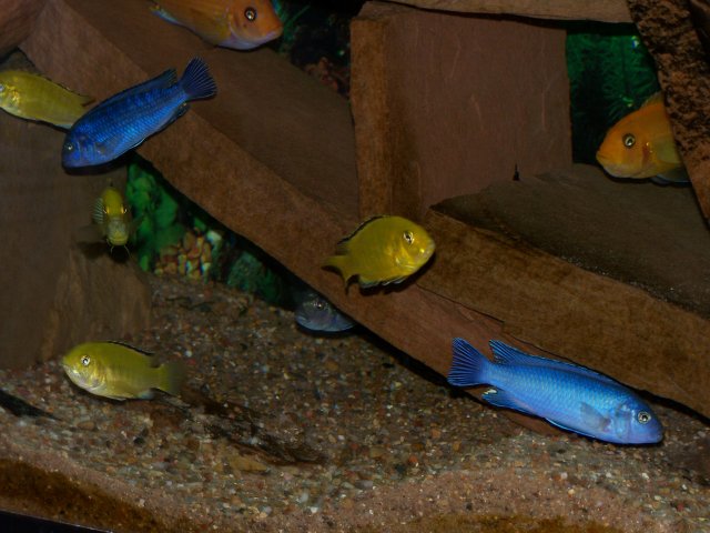 100_3957.JPG