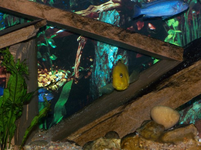 100_3956.JPG
