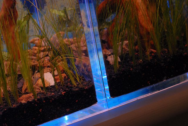 epictank3.jpg epictank3.jpg