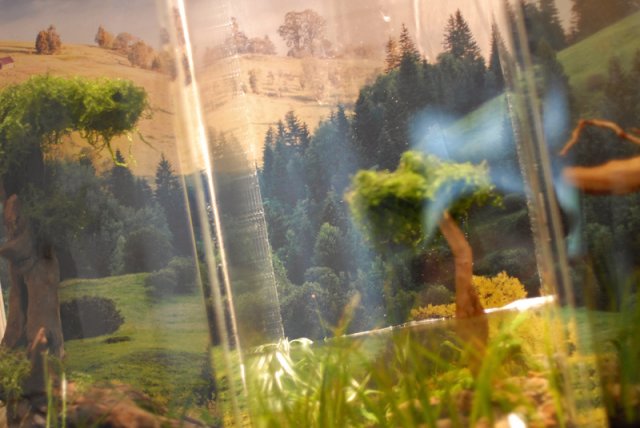 epic18.jpg epic18.jpg