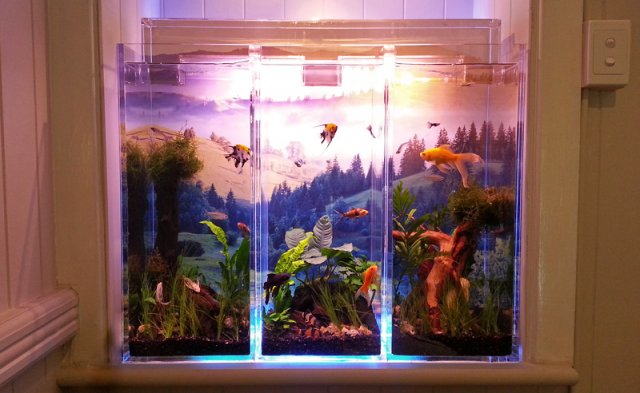 success.jpg success.jpg