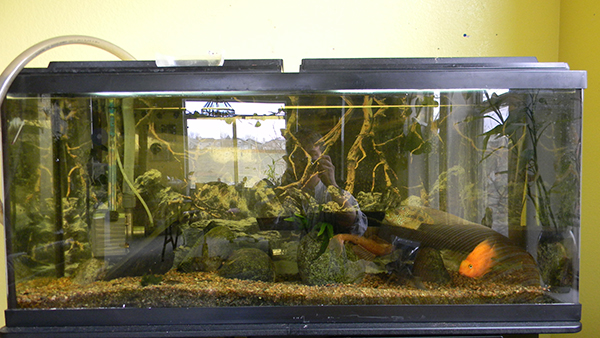 April2013 1228.jpg April2013 1228.jpg