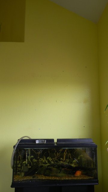 April2013 1230.jpg