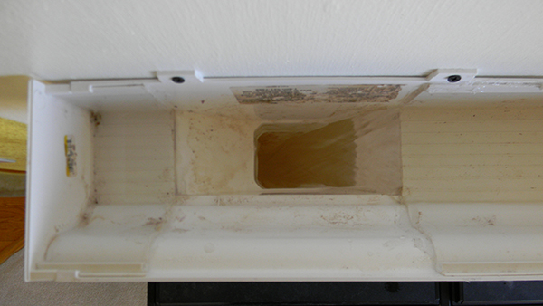 April2013 1247.jpg April2013 1247.jpg