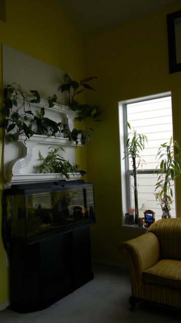 Window.jpg Window.jpg