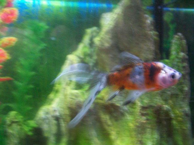 100_1034.JPG