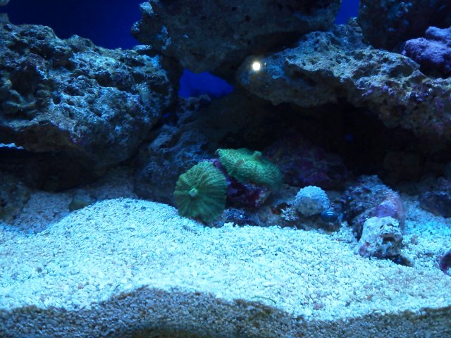 IMG_20140112_184414.jpg