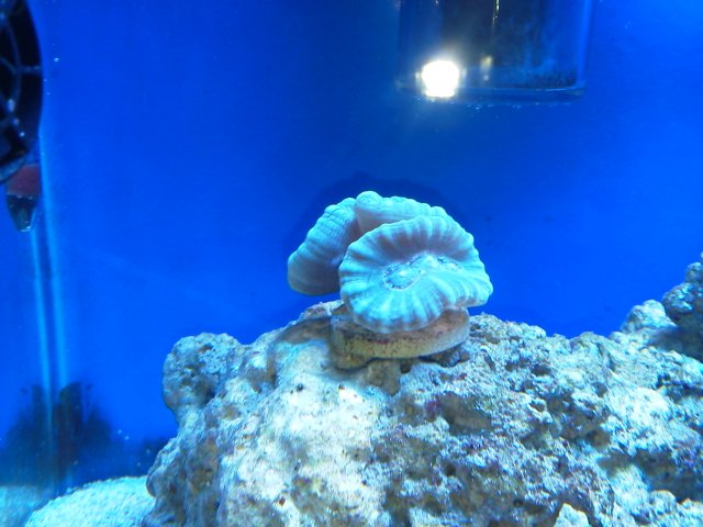 IMG_20140112_184421.jpg