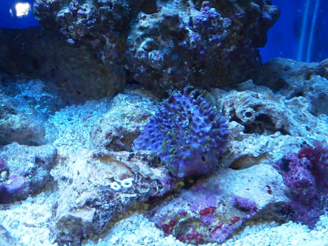 IMG_20140112_184435.jpg