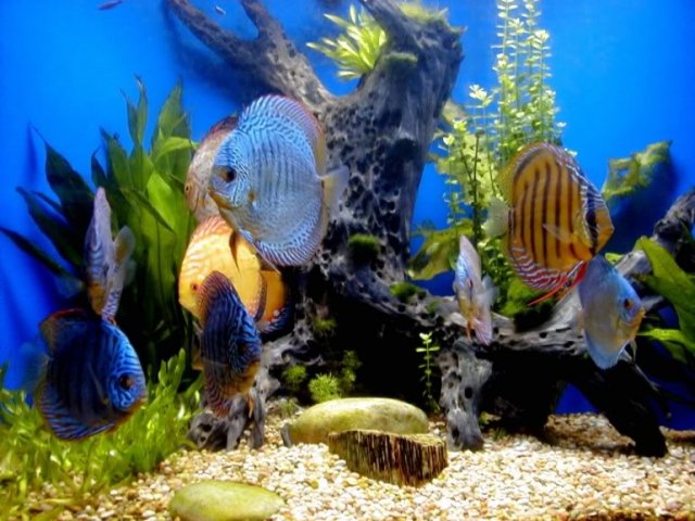 P110003.jpg