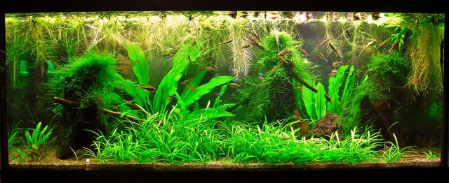 70g Oct 17-13.JPG 70g Oct 17-13.JPG