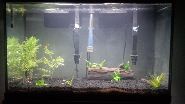 IMG_20140130_233553.jpg IMG_20140130_233553.jpg