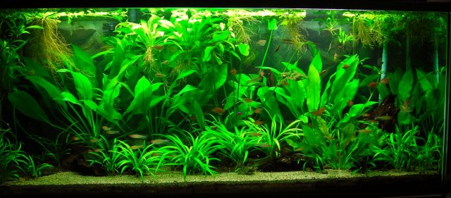 115g Oct 17-13.JPG