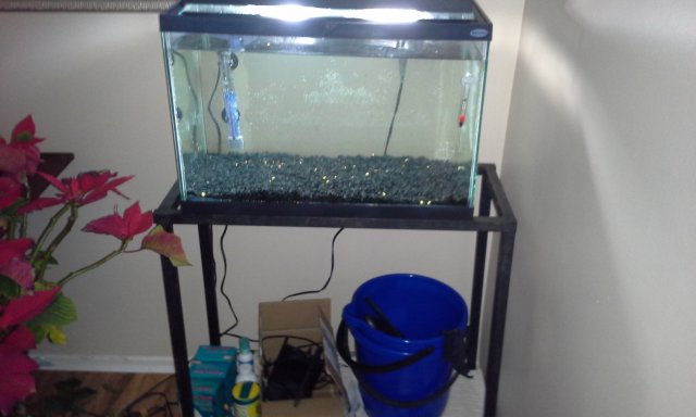 20G 1.jpg