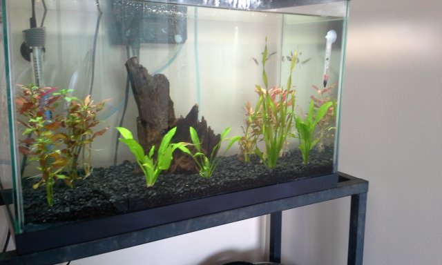 20G 6.jpg