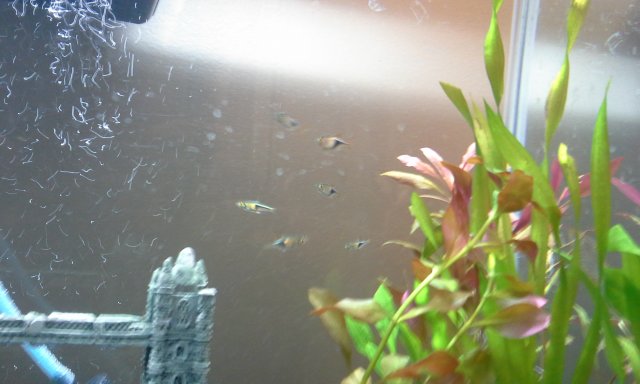 20G 4.jpg
