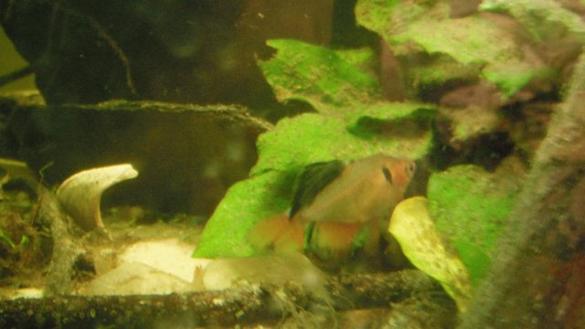 DSCF1122.JPG