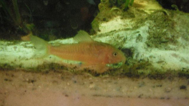 DSCF1119.JPG