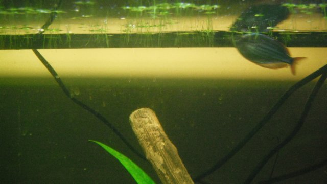 DSCF1120.JPG