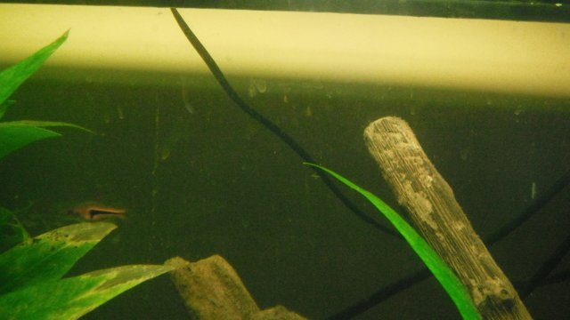 DSCF1121.JPG