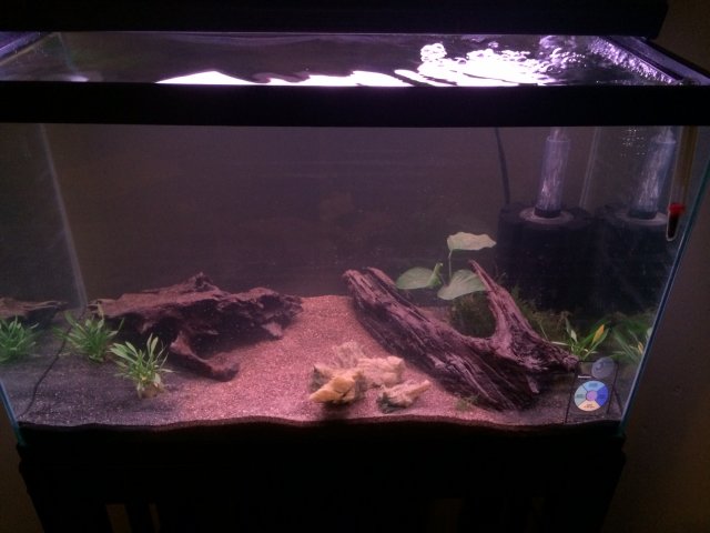 Tank 1.jpg