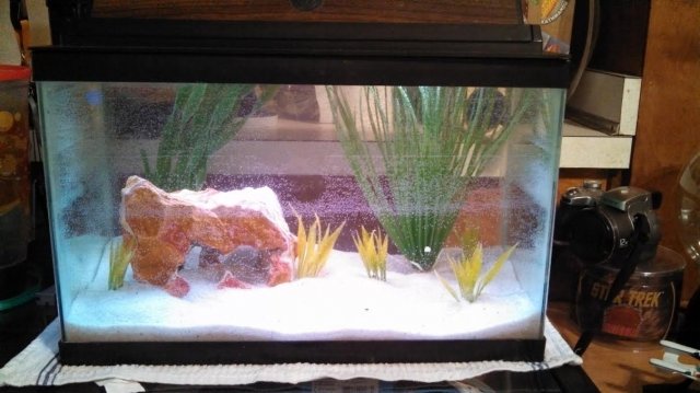 5 gallon.jpg