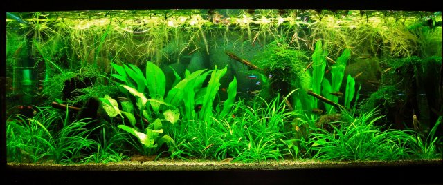 70g Feb 27-14.JPG