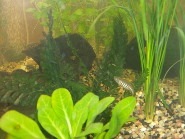 Chris and Fish 008.JPG