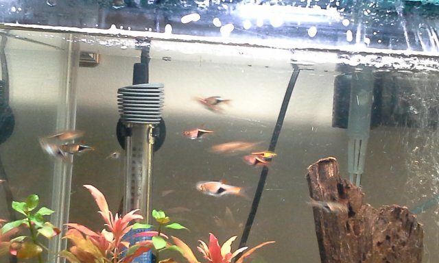 20140224_000854.jpg