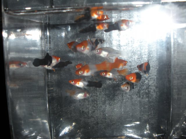 190.JPG