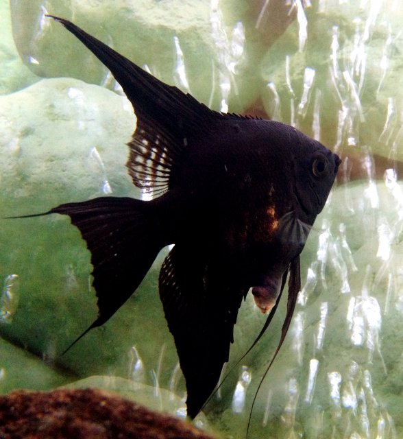 photo.JPG