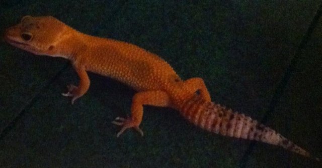 IMG_2148.JPG IMG_2148.JPG