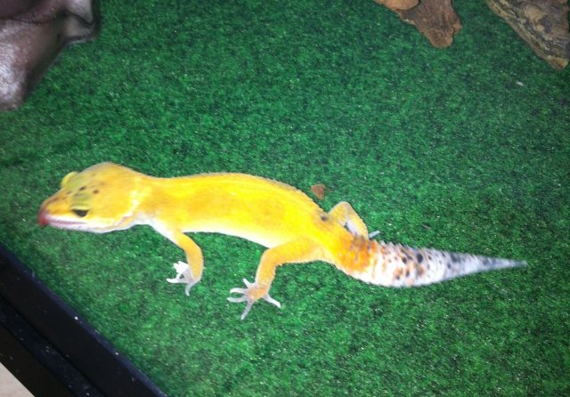 IMG_2149.JPG IMG_2149.JPG