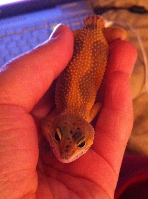 IMG_2182.JPG IMG_2182.JPG