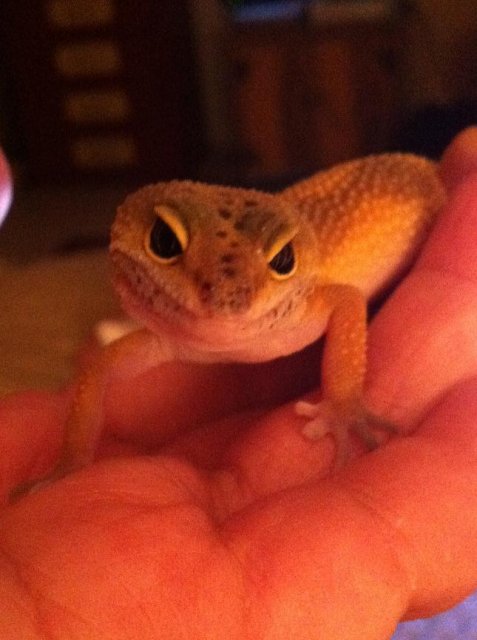 IMG_2183.JPG IMG_2183.JPG