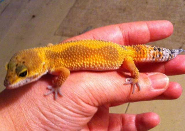 IMG_2186.JPG IMG_2186.JPG