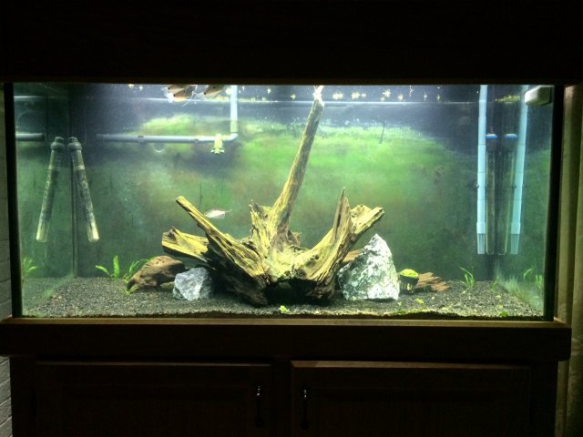 tank2.jpg