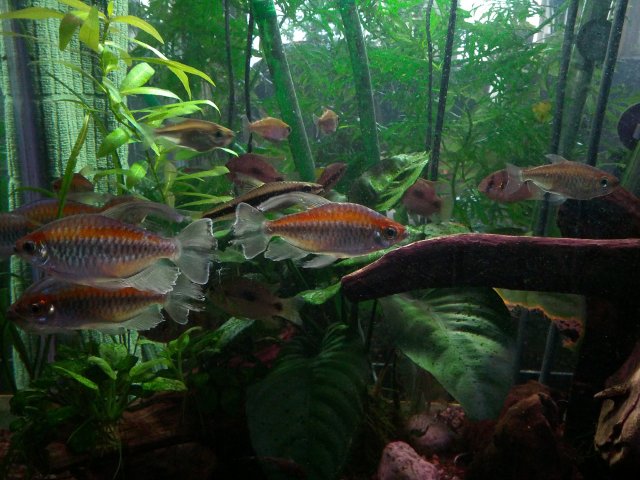 008.jpg