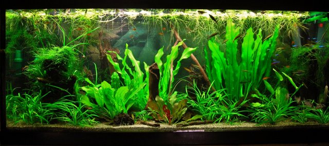 70g May 27-14.JPG