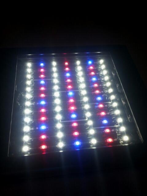 leds.jpg