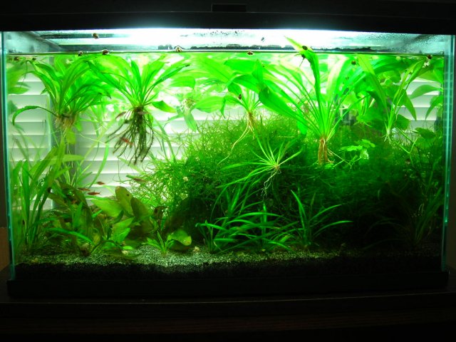 10g Aug 19-10 (2).JPG 10g Aug 19-10 (2).JPG