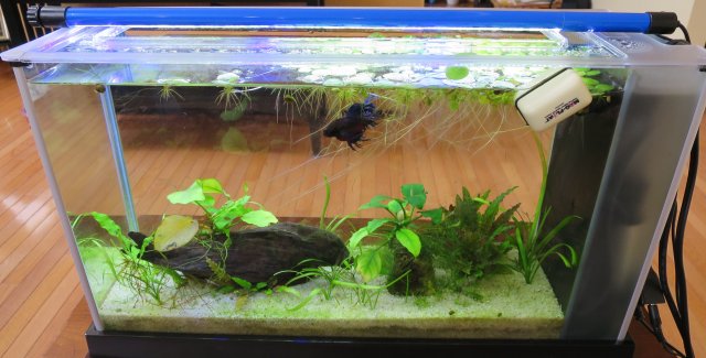 IMG_0663.JPG IMG_0663.JPG