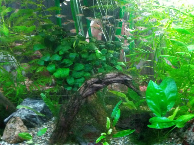 035.jpg