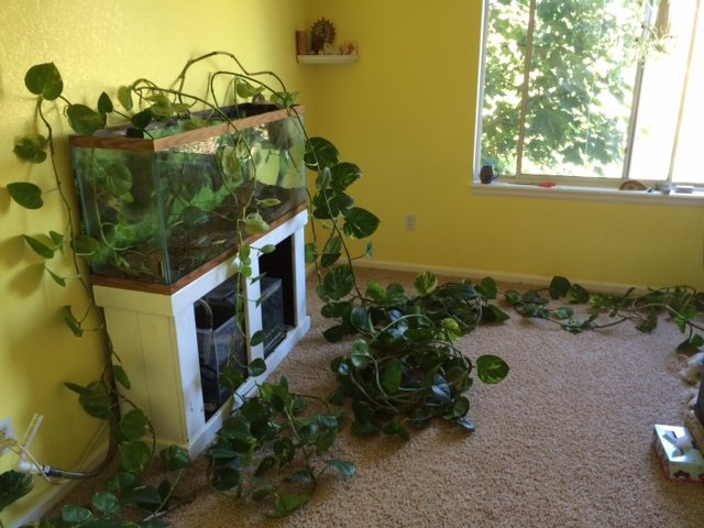 photo 2 (1).JPG
