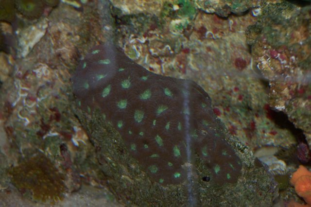 000_0057.jpg