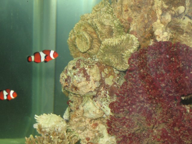 IMG_0956.JPG