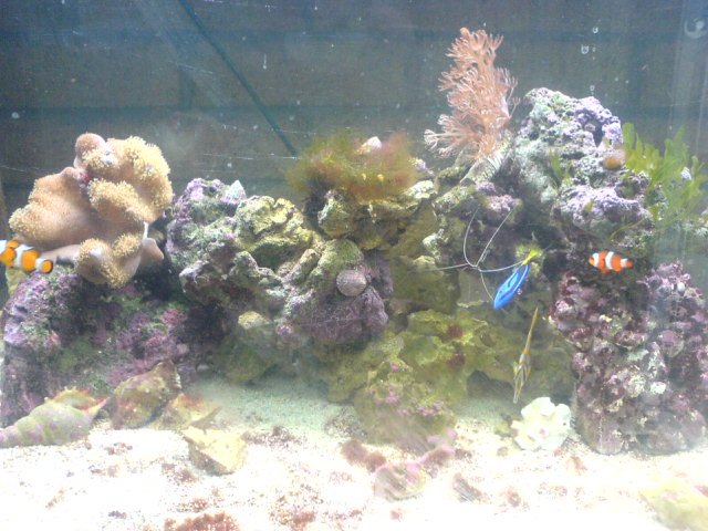DSC00244.JPG