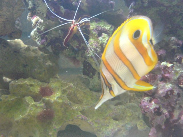DSC00234.JPG